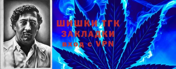 ECSTASY Дмитров